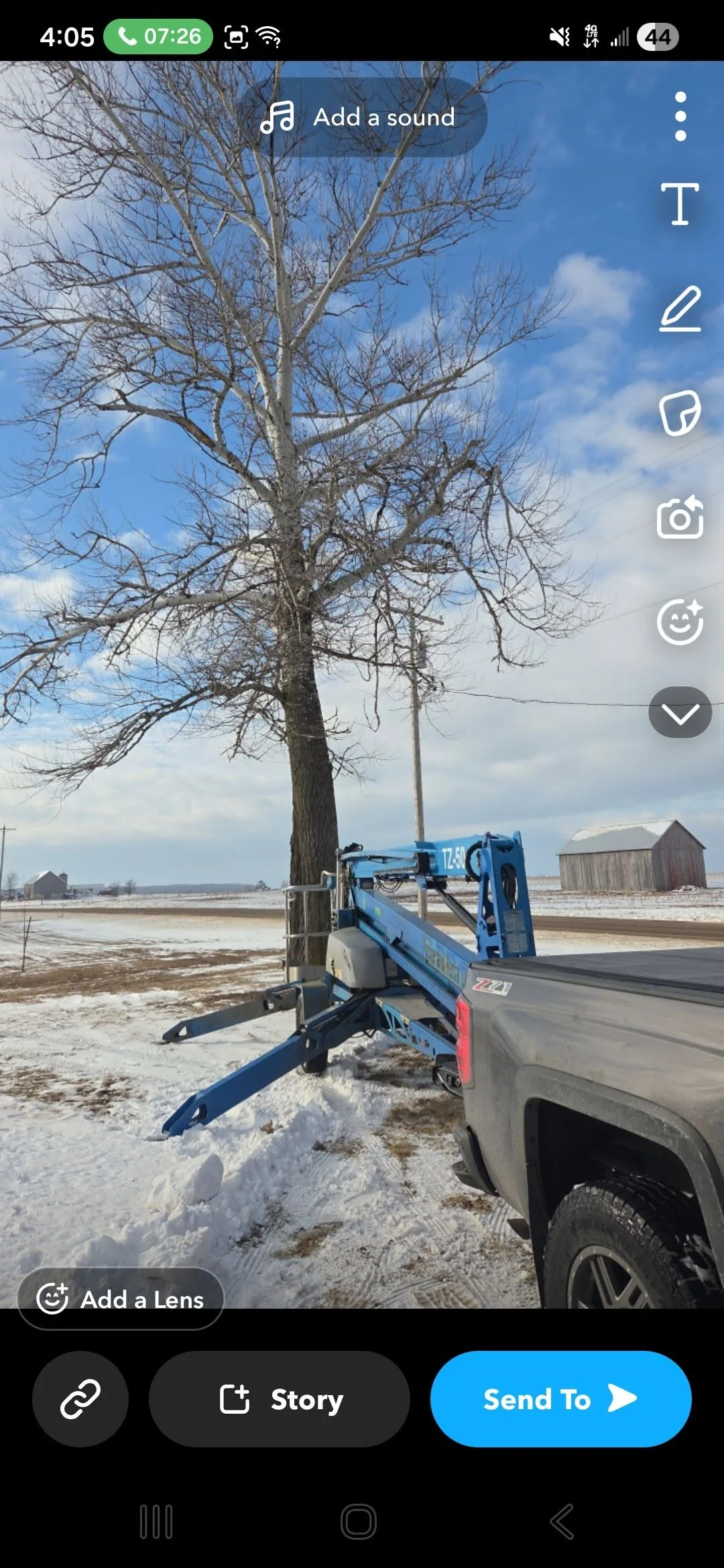 Tree Service Reviews in Shawano, WI, and Beyond