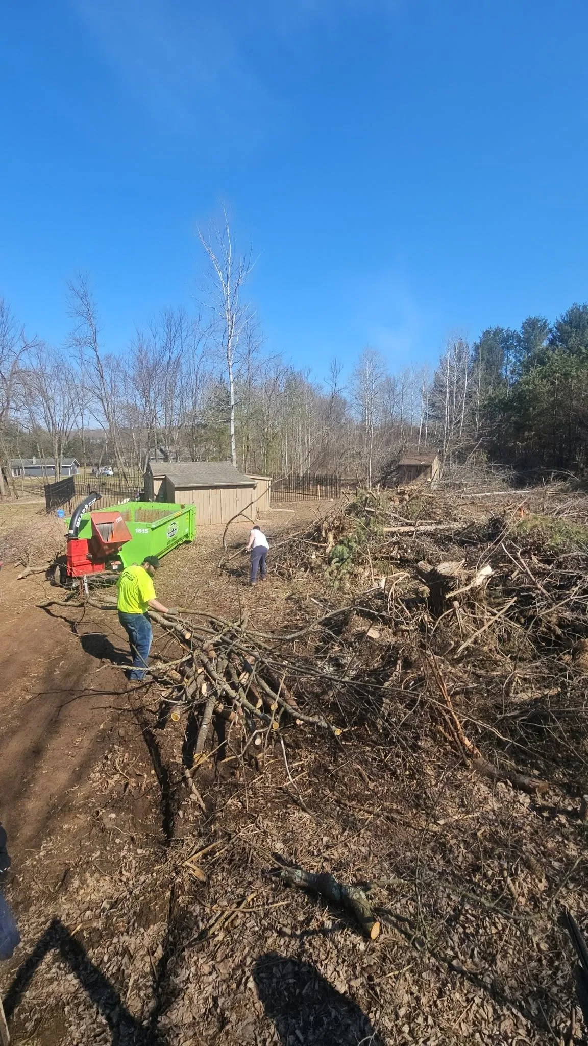 Cleared Lots and Storm Cleanup
