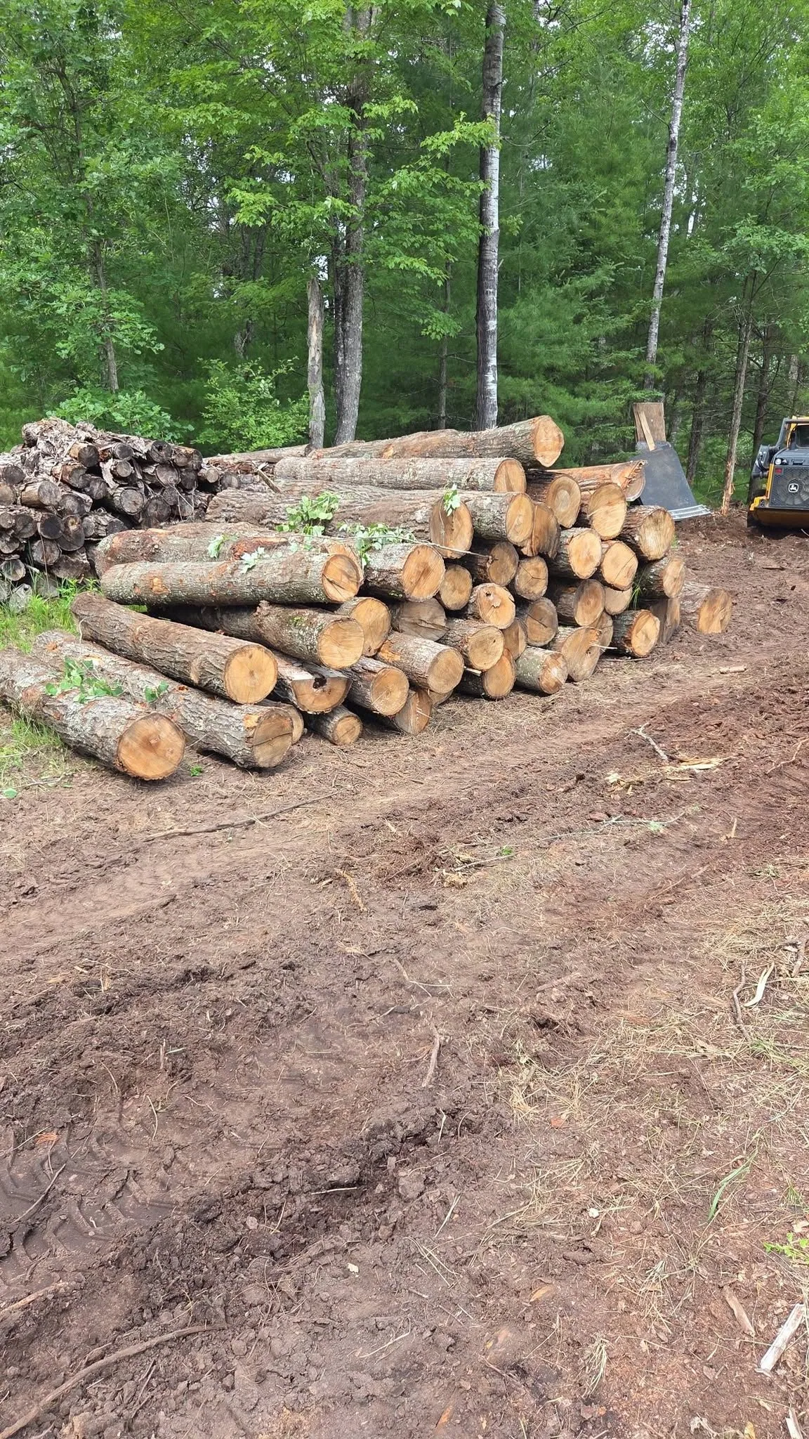 Why Choose Our Tree Care Company in Shawano County