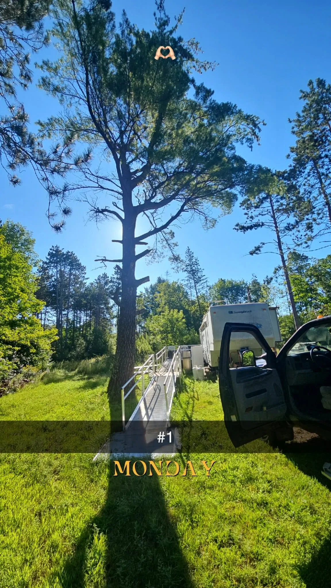 Why Towns Choose Our Tree Service in Shawano County and Beyond
