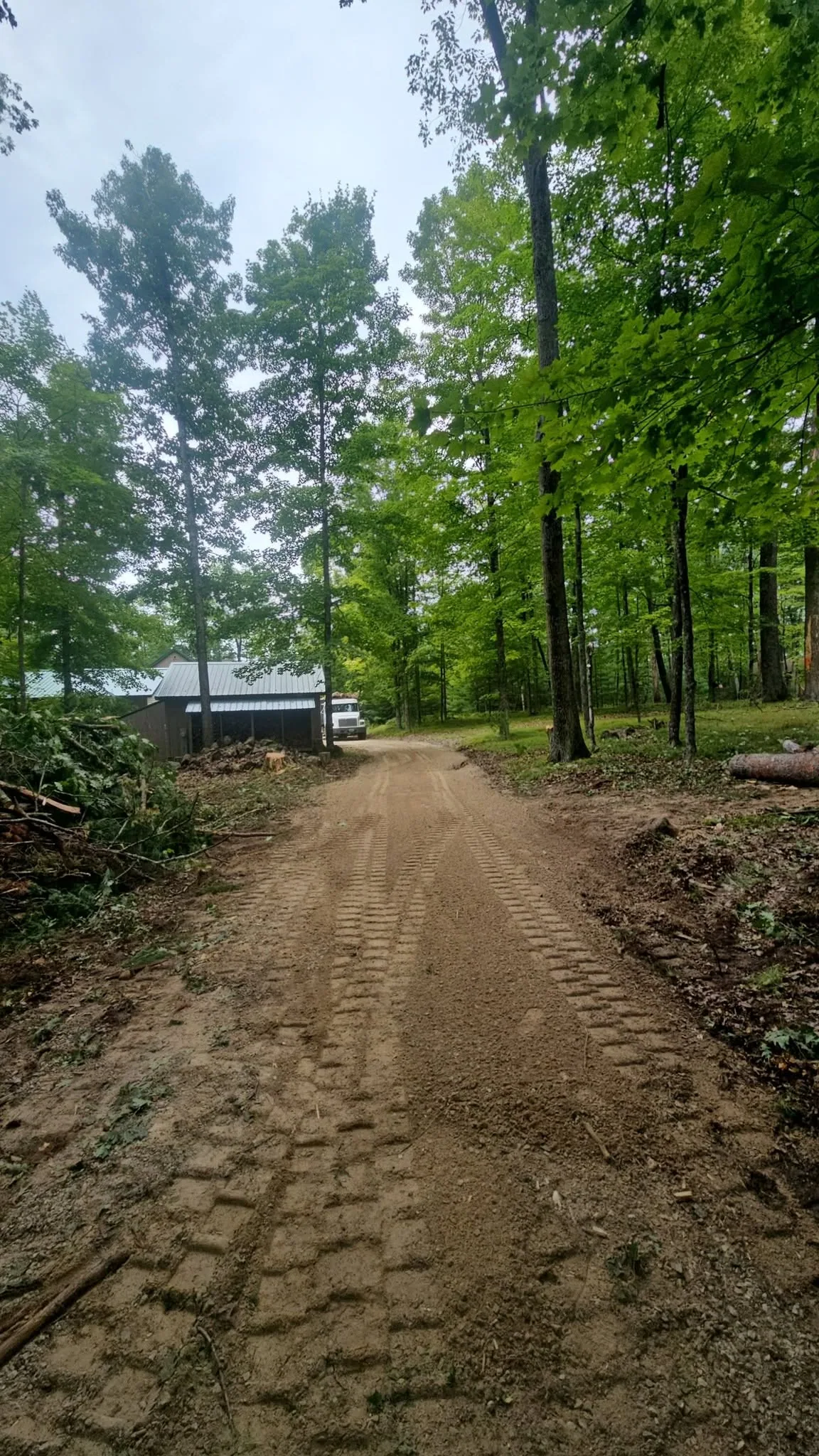 When a Property Needs Clearing